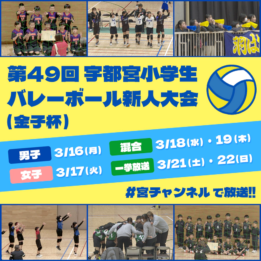 小学生バレーボール