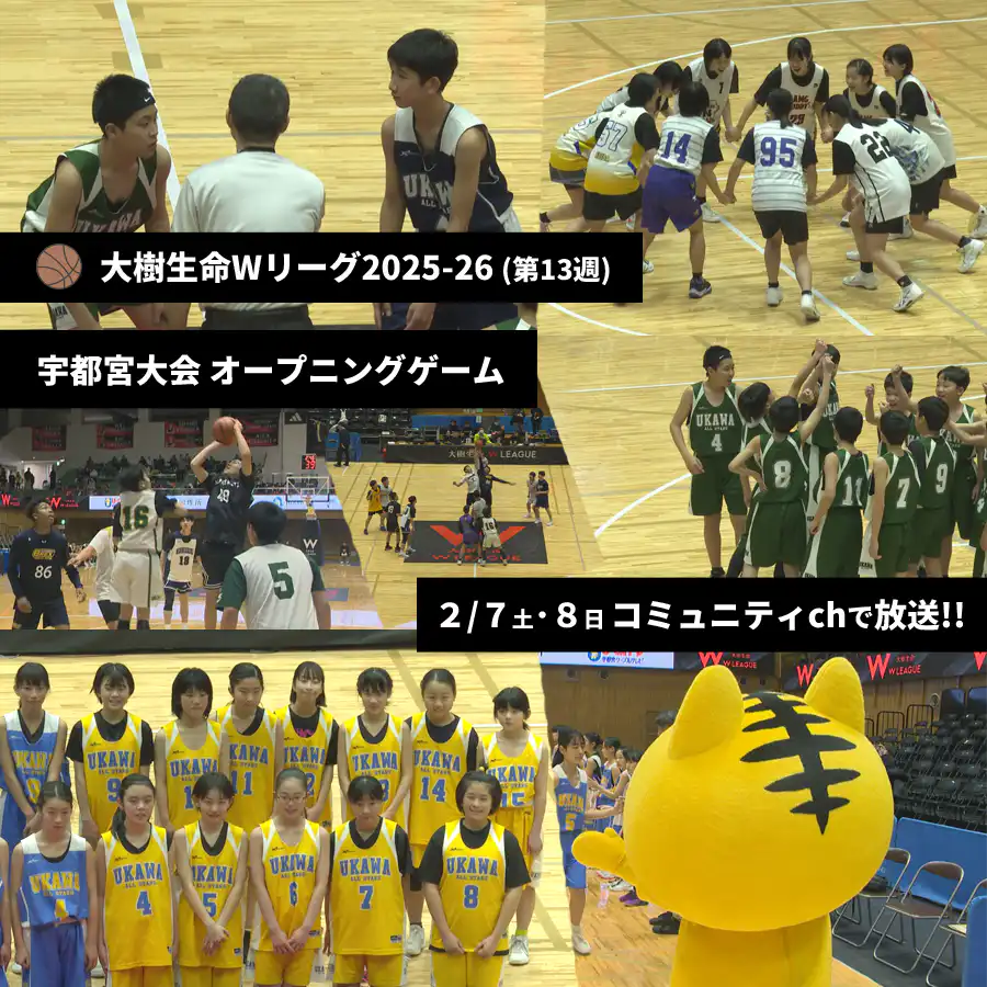 Wリーグバスケット